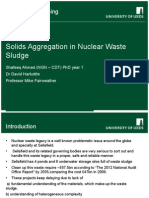 Solids Aggregation in Nuclear Waste Sludge: School of Something School of Something