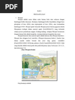 Download mineral yang mengandung unsur P dan K by Shisil Fitriana SN263409662 doc pdf