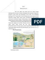 Mineral Yang Mengandung Unsur P Dan K