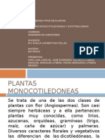 Plantas Mono y Dicotiledoneas