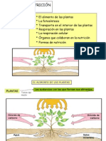 Tema 2. La Nutrición en Las Plantas