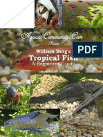 Tropical Fish-A Beginners Guide