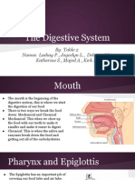 Digestion System