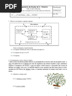 Ficha de avaliação de CN 8º Ano (factores abióticos e bióticos; fluxo de energia e ciclo de matéria)