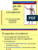 Aparato Circulatorio version completo versionmn estudiantil 