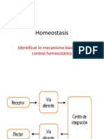 Homeostasis RENAL