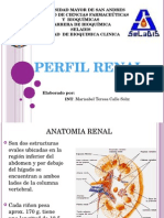 Perfil Renal