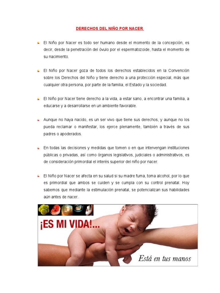 Derechos Del Niño Por Nacer | Familia | Estado (política)