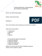 Lluvia de Ideas, Tipo de Soporte Que Se Le Puede Dar Al Software PDF