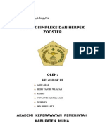 Askepherpeszoster 131005102823 Phpapp01