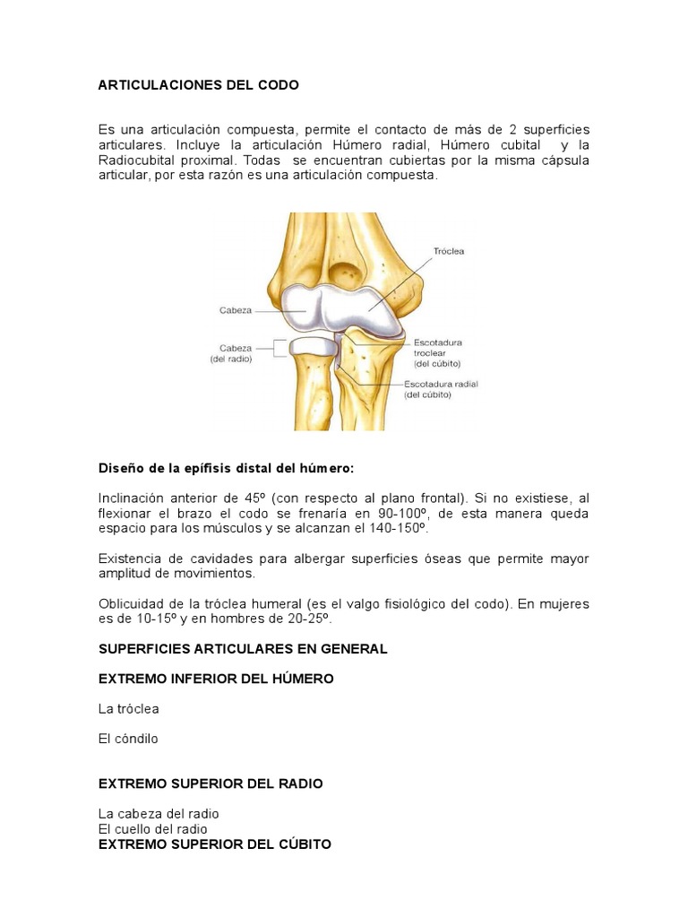Articulaciones Del Codo | PDF | Codo | Articulaciones