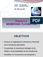 Membrana Plasmatica