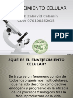 Envejecimiento Celular