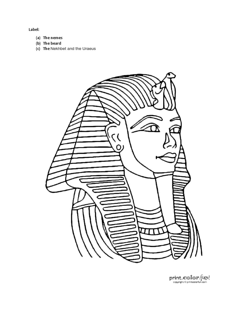 Label | PDF | Teaching Methods & Materials | Science & Mathematics