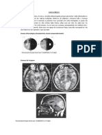 Gabarito Casos Clínicos - Vascularização PDF