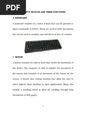 10 INPUT DEVICES AND THEIR FUNCTIONS.docx