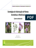 Valorizacao de PAM FDuarte PDF