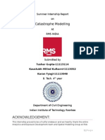 IIT Roorkee Summer Interns Report on Catastrophe Modelling and Urban Flood Modelling