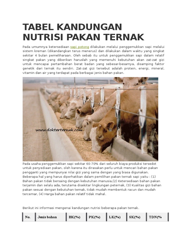 Tabel Nutrisi Pakan Ternak Sapi | PDF