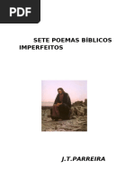 Sete Poemas Evangélicos Imperfeitos