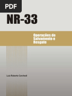 Livro-Cel Luiz Carchedi NR-33