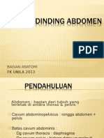 Anatomi - Dinding Abdomen