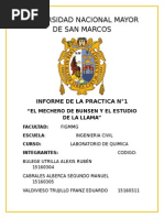 Unmsm Informe de La Practica N°1 El Mechero de Bunsen y El Estudio de La Llama