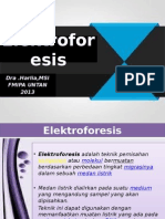 Elektroforesis