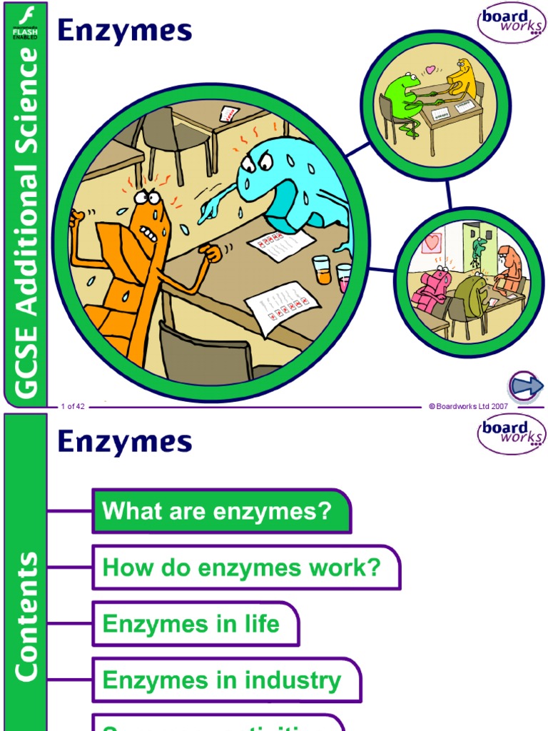 AS biology unit 1 enzymes.ppt Enzyme Active Site