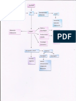 Percepcion visual esquema