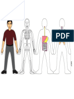 Human Body Systems-colourdoit