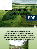 Despaduririle Si Defrisarile