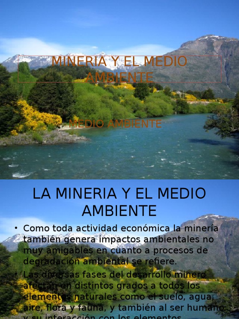Mineria y El Medio Ambiente | PDF | Minería | Degradación ambiental