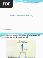 Download Pentose  Phosphate Pathway by Dr waseem kausar Dated 3210  4210 by IMDCBiochem SN26355331 doc pdf