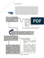 MEDIDAS PREVENTIVAS 6PAGINAS