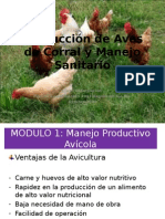 Producción de Aves de Corral y Manejo Sanitario - Completo