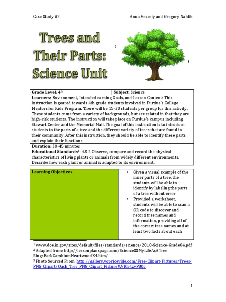parts of a tree lesson plan Lesson Plan Learning