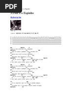 Roberta Sá - A Flor e o Espinho