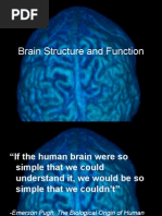 lecture 8 brain structure