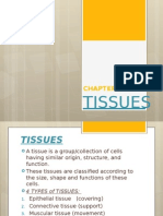 Anatomy 3 - Tissues