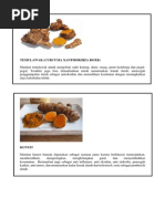 Tanaman Obat Keluarga PDF