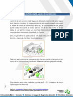 Sensores de Posicion de Angulo de La Direccion