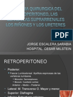 Anatomiaquirurgicadelretroperitoneolasglandulassuprarrenales 100824213721 Phpapp01