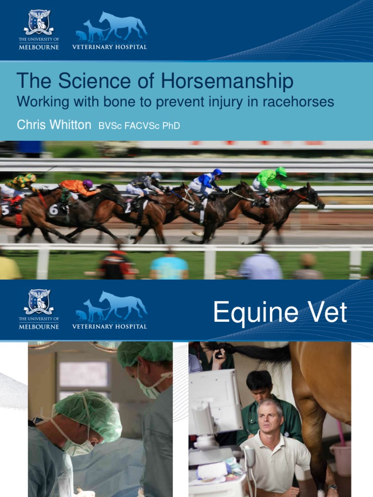 The Science of Horsemanship - Working With Bone To Prevent Injury in ...