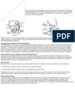 Linfáticos Do Pescoço e Da Cabeça Drenam Para Numerosos Linfonodos Dispostos Em Grupos Superficial e Profundo