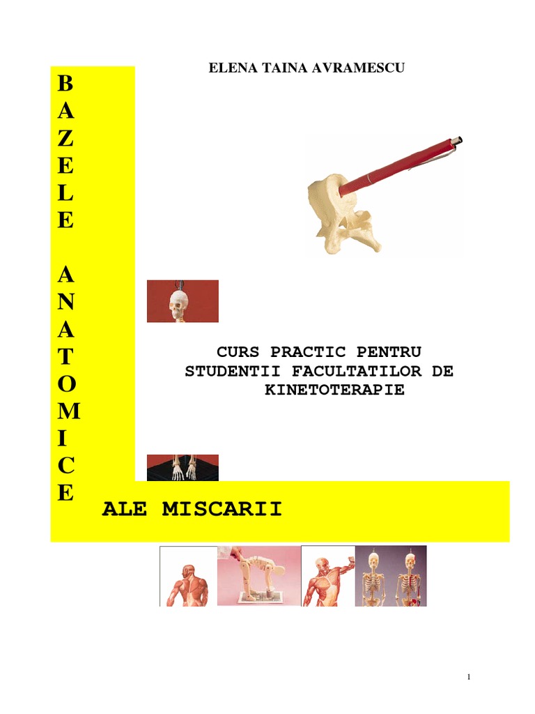 Bazele Anatomice Ale Miscarii | PDF
