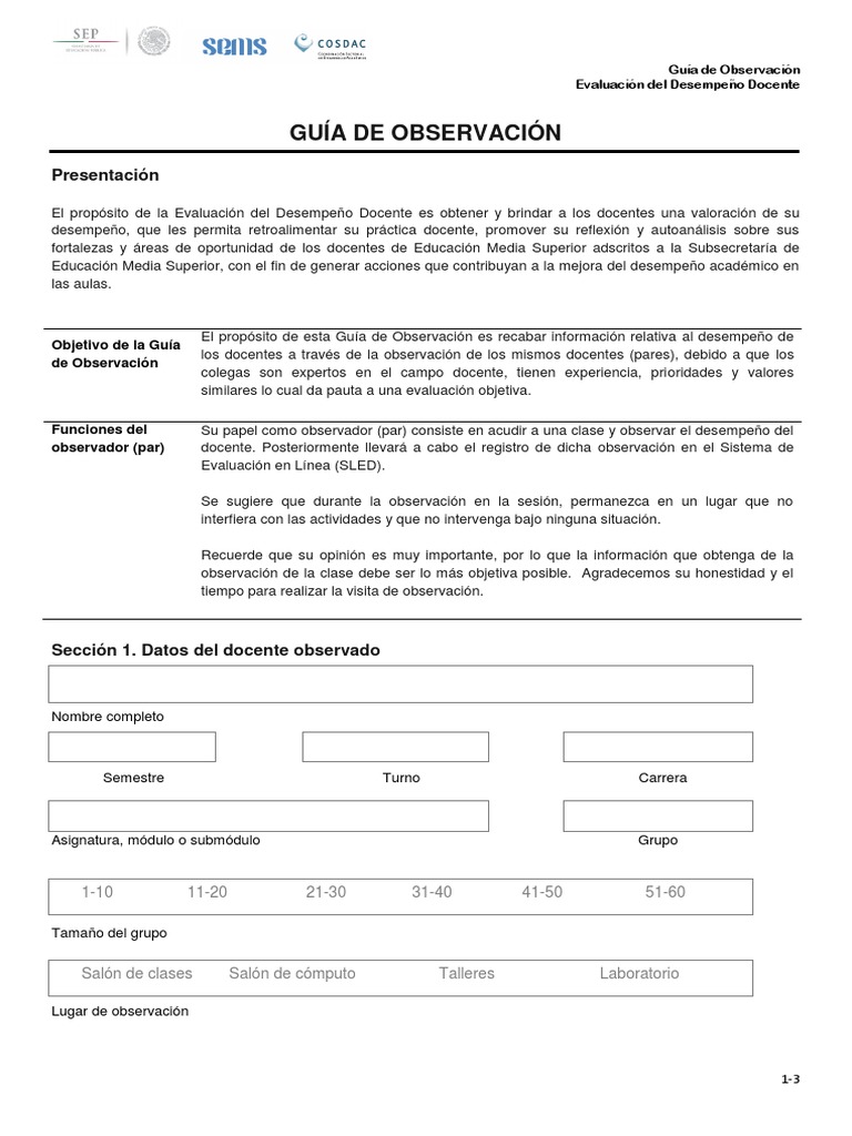 Guia de Observacion Al Docente | PDF | Aprendizaje | Maestros
