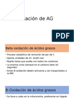 B-Oxidación de AG