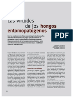 Control de plagas con hongos entomopatógenos