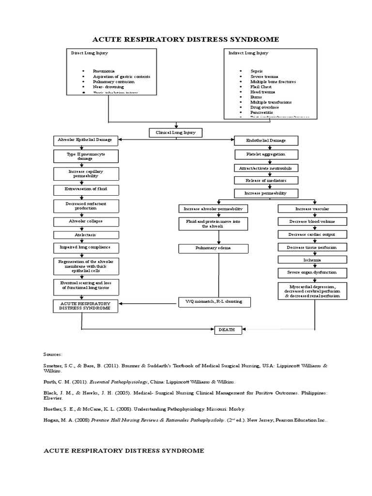 Acute Respiratory Distress Syndrome | PDF | Lung | Medical Specialties